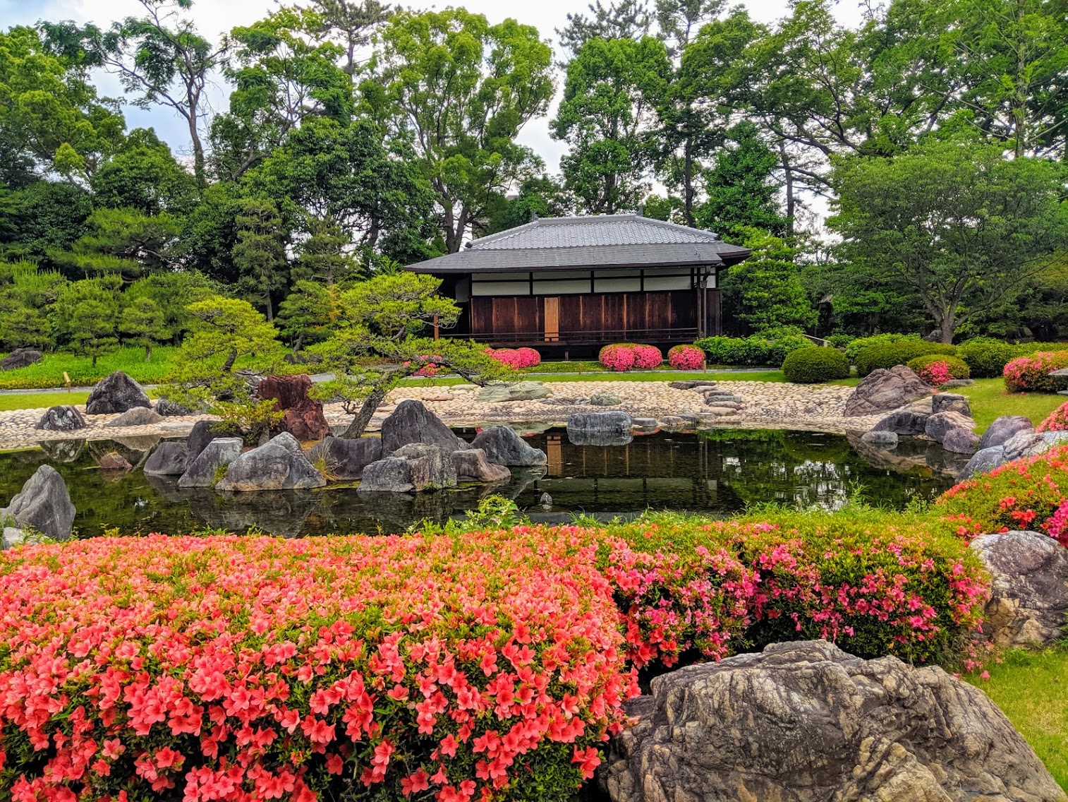 IMG_20190602_155614-EFFECTS