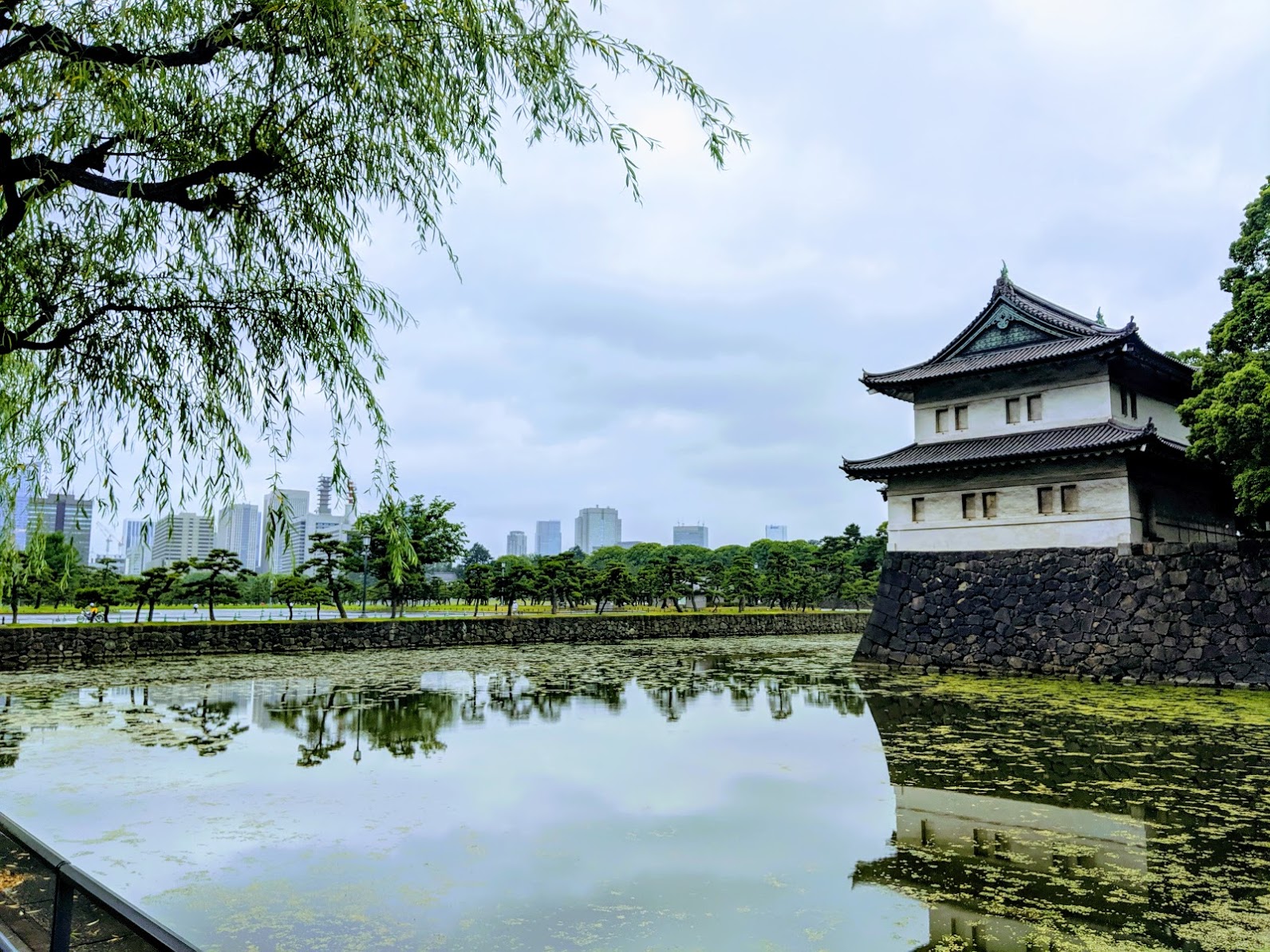 IMG_20190609_073928-EFFECTS