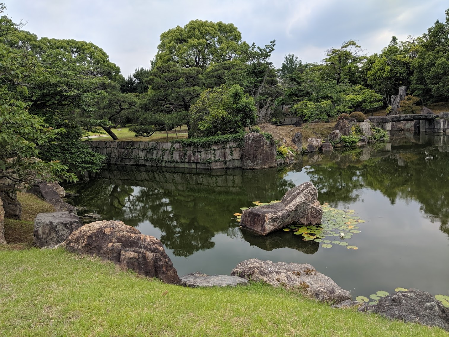 MVIMG_20190602_151519